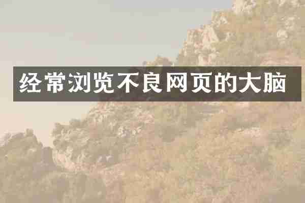 经常浏览不良网页的大脑