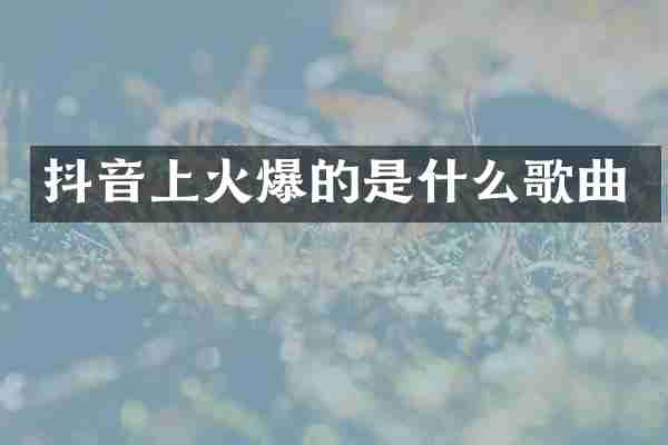 抖音上火爆的是什么歌曲