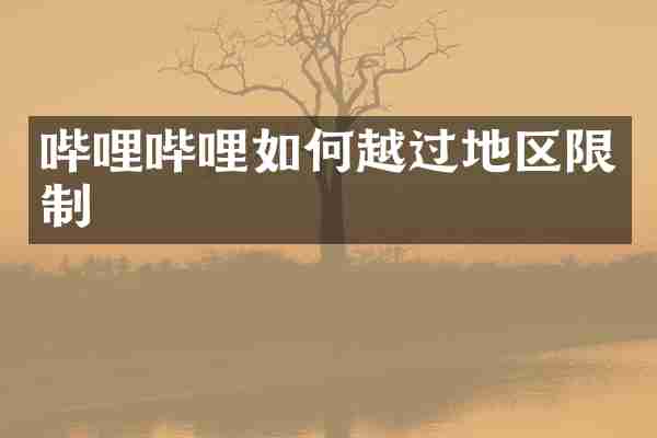 哔哩哔哩如何越过地区限制