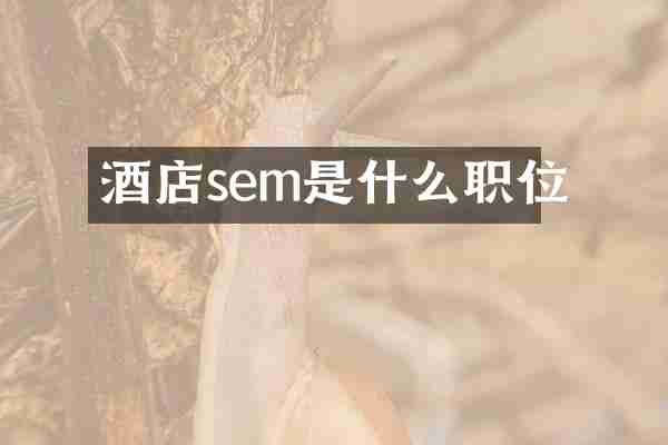 酒店sem是什么职位