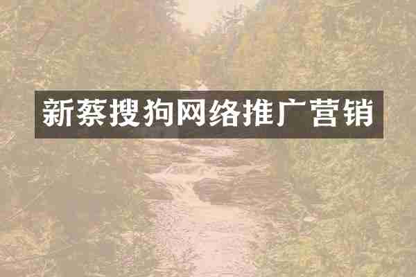 新蔡搜狗网络推广营销