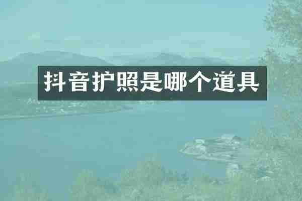 抖音护照是哪个道具