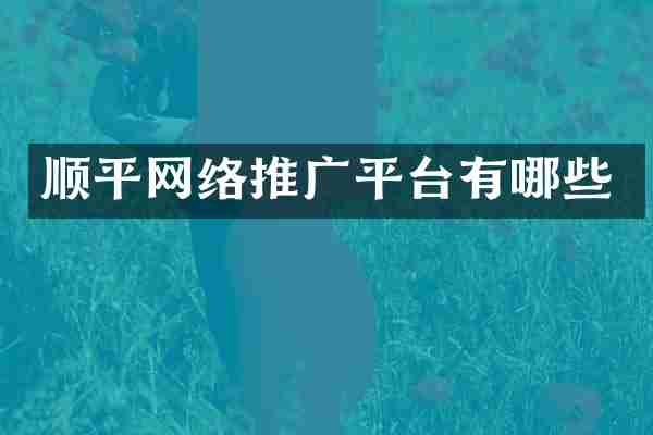 顺平网络推广平台有哪些