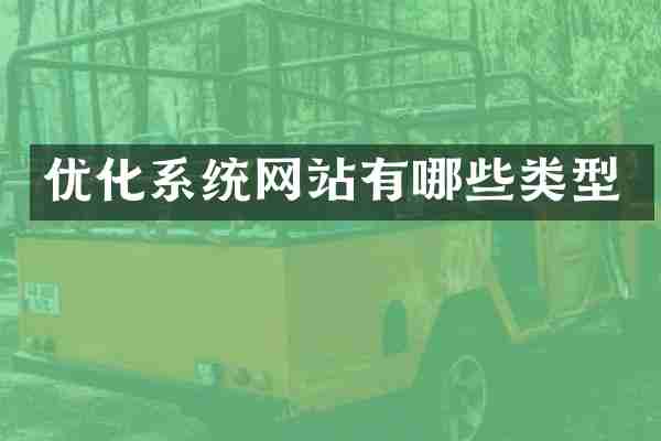 优化系统网站有哪些类型