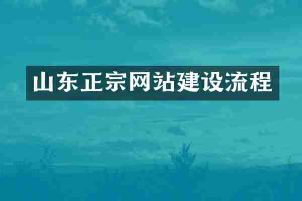 山东正宗网站建设流程
