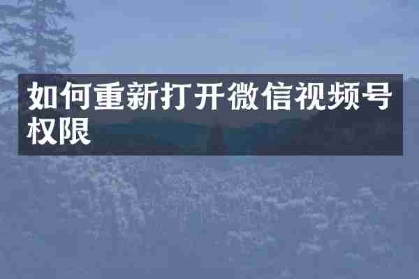 如何重新打开微信视频号权限