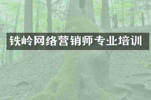 铁岭网络营销师专业培训