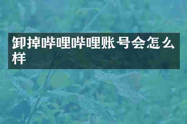 卸掉哔哩哔哩账号会怎么样