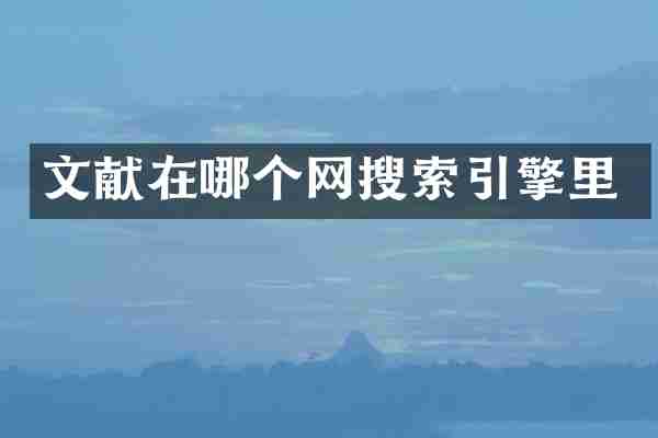 文献在哪个网搜索引擎里