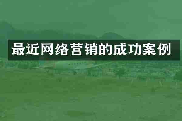最近网络营销的成功案例