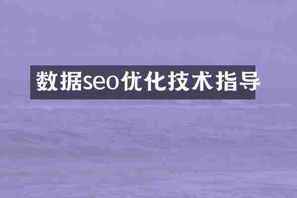 数据seo优化技术指导