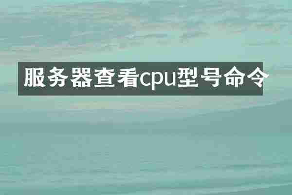 服务器查看cpu型号命令
