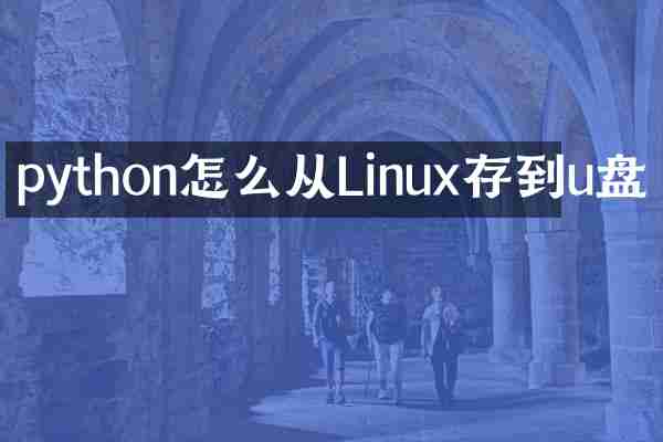 python怎么从Linux存到u盘