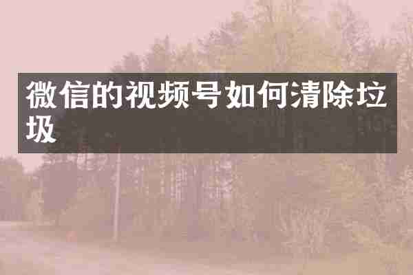 微信的视频号如何清除垃圾