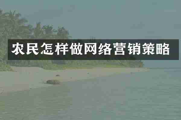 农民怎样做网络营销策略