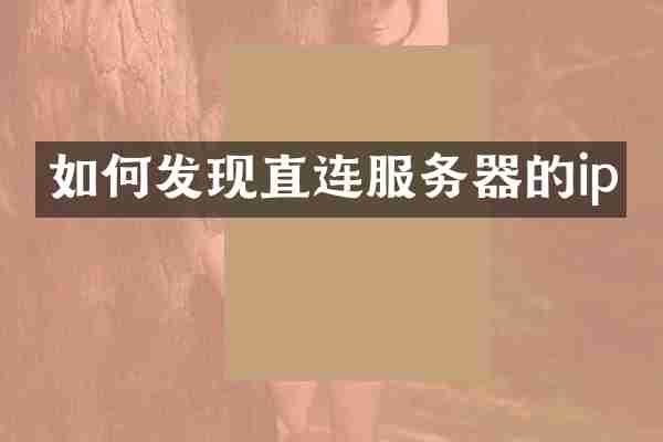 如何发现直连服务器的ip