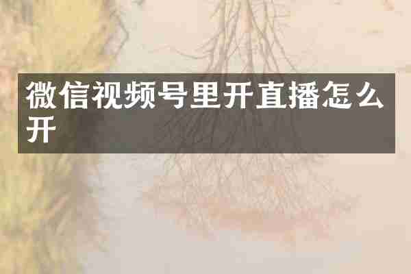 微信视频号里开直播怎么开