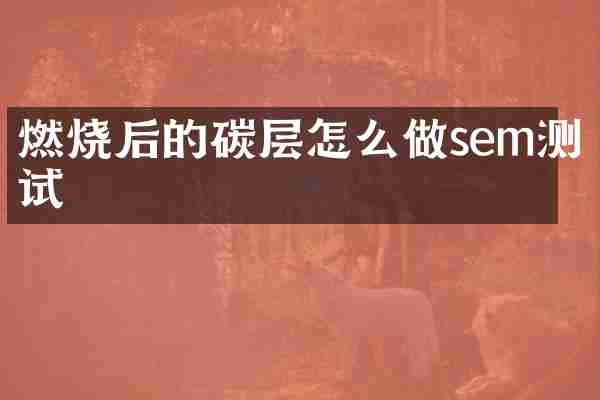 燃烧后的碳层怎么做sem测试