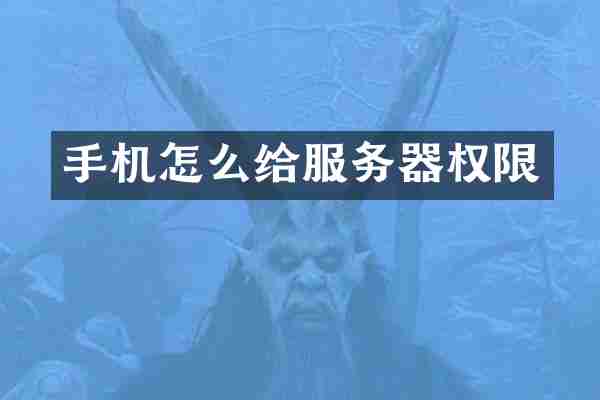 手机怎么给服务器权限