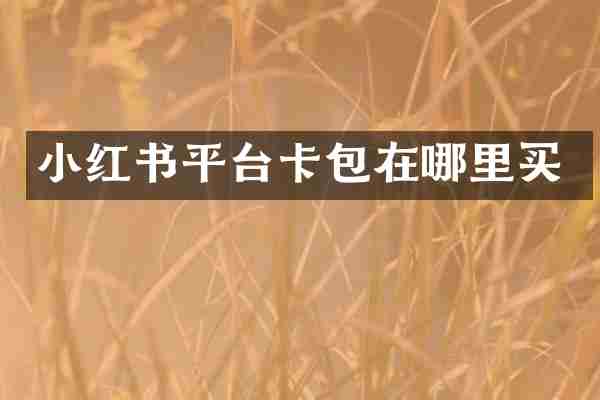 小红书平台卡包在哪里买