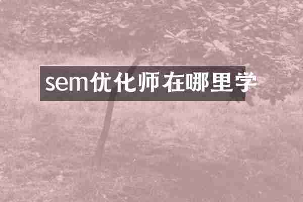 sem优化师在哪里学