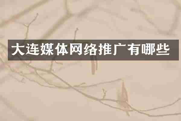 大连媒体网络推广有哪些