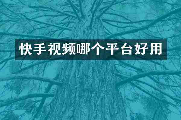 快手视频哪个平台好用