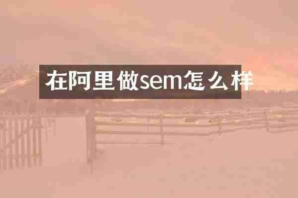 在阿里做sem怎么样