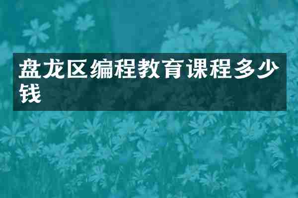 盘龙区编程教育课程多少钱