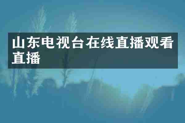 山东电视台在线直播观看直播