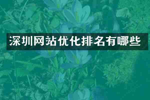 深圳网站优化排名有哪些