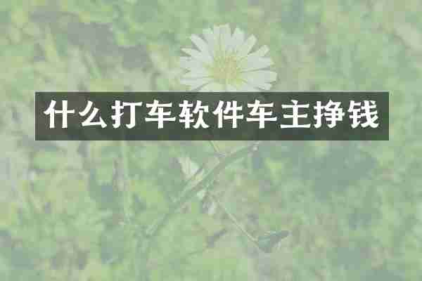 什么打车软件车主挣钱