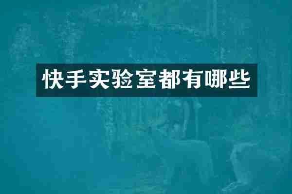 快手实验室都有哪些