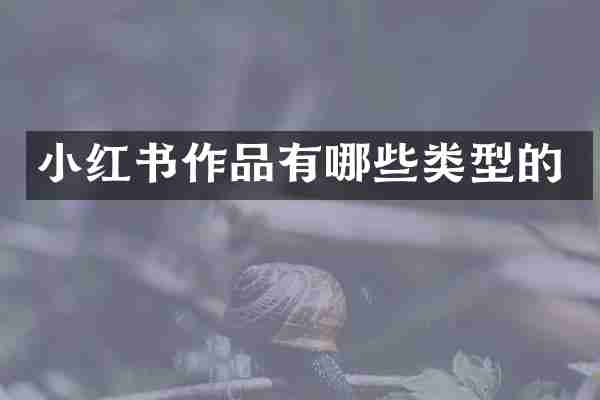 小红书作品有哪些类型的
