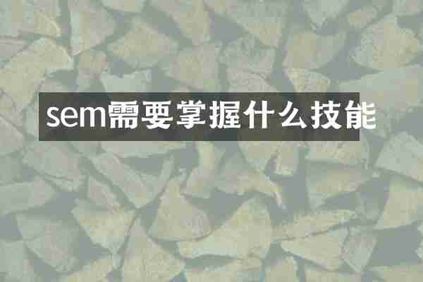 sem需要掌握什么技能