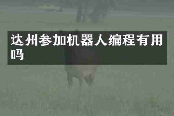 达州参加机器人编程有用吗