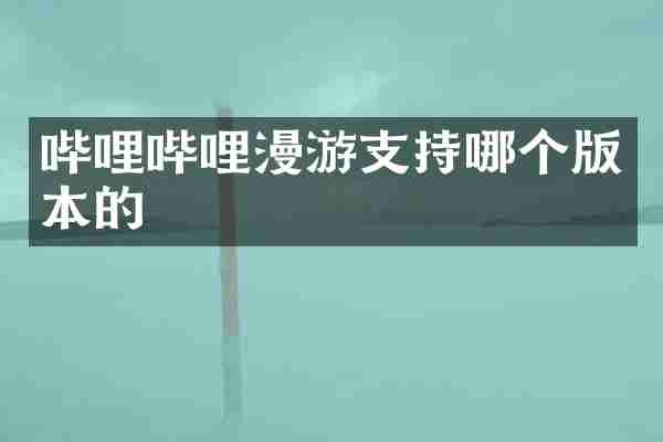 哔哩哔哩漫游支持哪个版本的