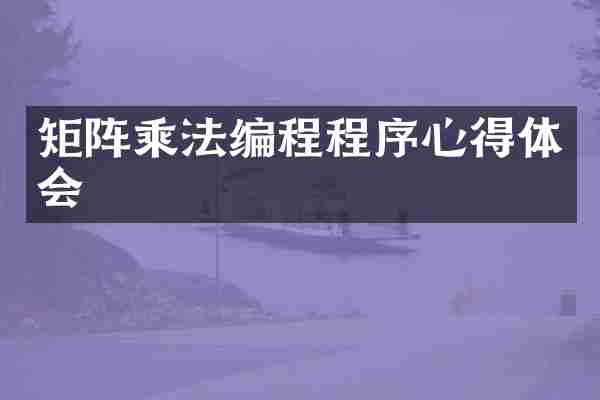 矩阵乘法编程程序心得体会