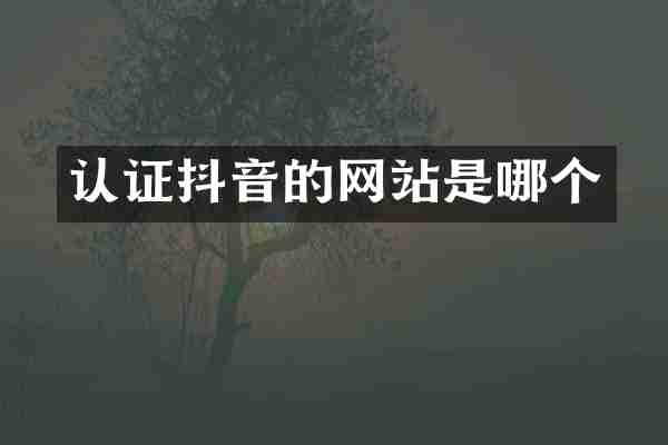 认证抖音的网站是哪个