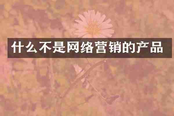 什么不是网络营销的产品