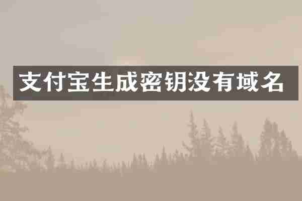 支付宝生成密钥没有域名