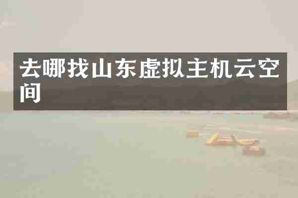 去哪找山东虚拟主机云空间