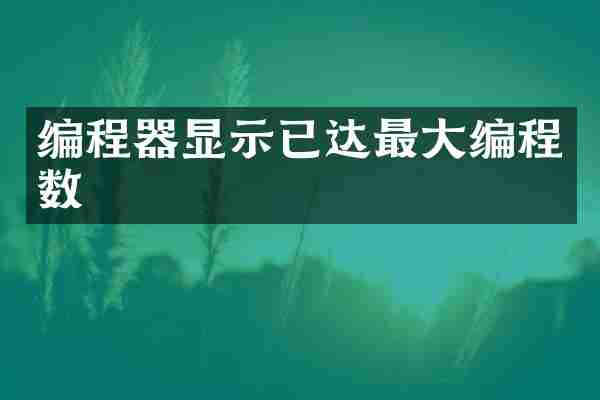 编程器显示已达最大编程数