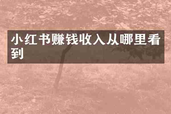 小红书赚钱收入从哪里看到