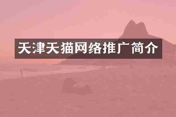 天津天猫网络推广简介