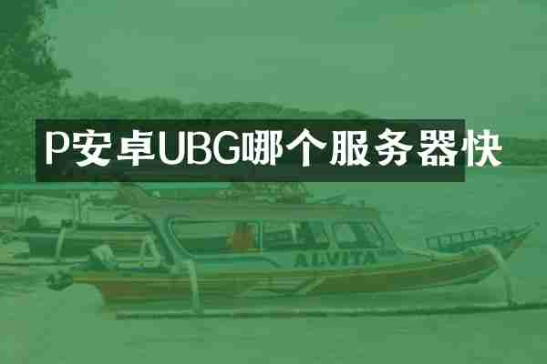P安卓UBG哪个服务器快