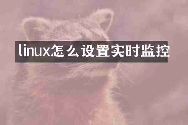 linux怎么设置实时监控