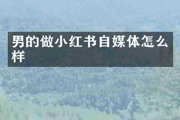 男的做小红书自媒体怎么样