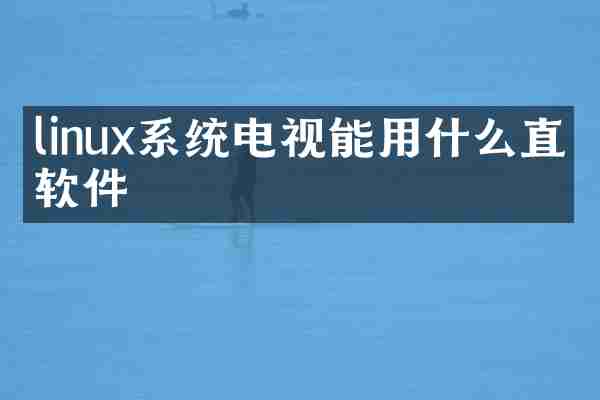 linux系统电视能用什么直播软件