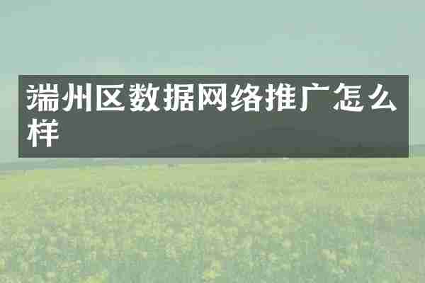 端州区数据网络推广怎么样